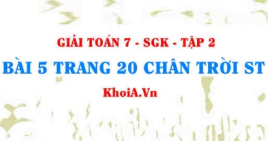 Bài 5 trang 20 Toán 7 Chân trời sáng tạo Tập 2